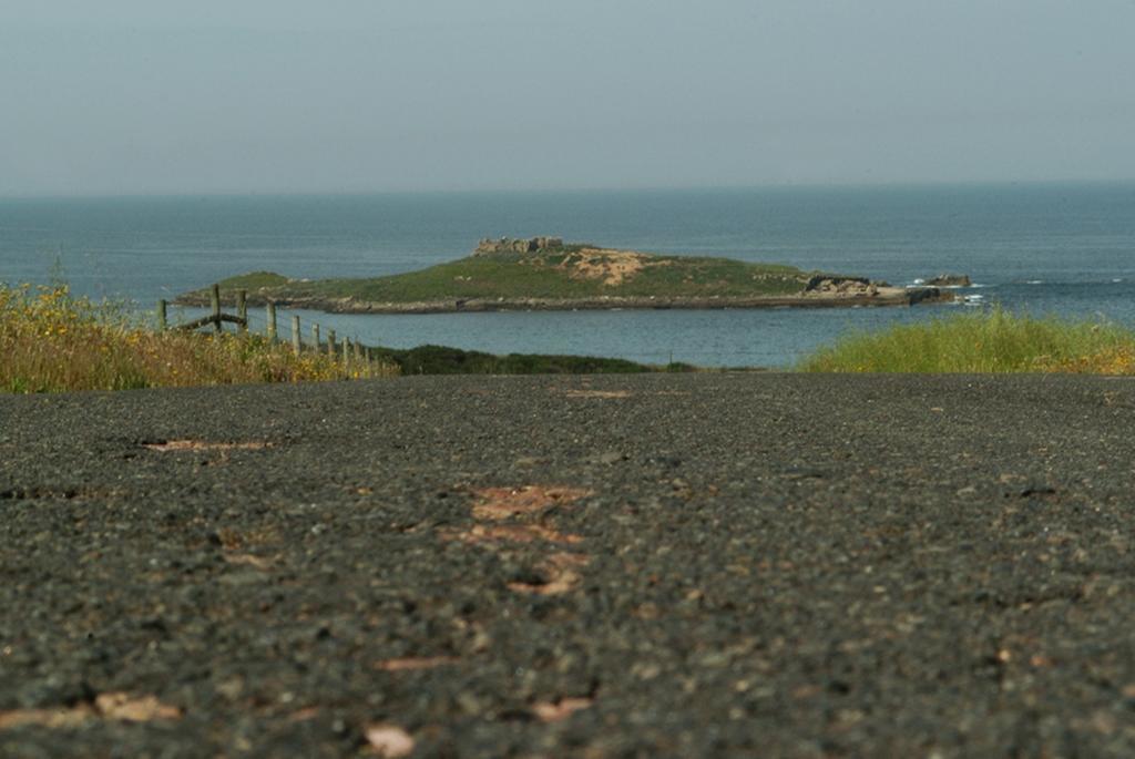 Parque De Campismo Da Ilha Do Pessegueiro Hotel Porto Covo Ruang foto